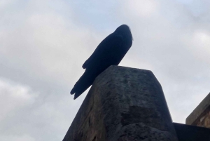 Londyn: Tower of London i Tower Bridge - wycieczka prywatna