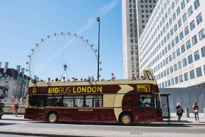 Londres : Tour de Londres, bus à arrêts à arrêts multiples et croisière fluviale