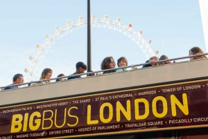 Londres : Tour de Londres, bus à arrêts à arrêts multiples et croisière fluviale