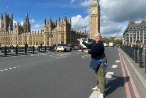 Londres: Destaques de Westminster Tour de táxi preto com serviço de busca