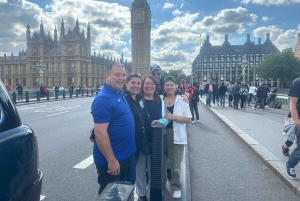 Londres: Destaques de Westminster Tour de táxi preto com serviço de busca
