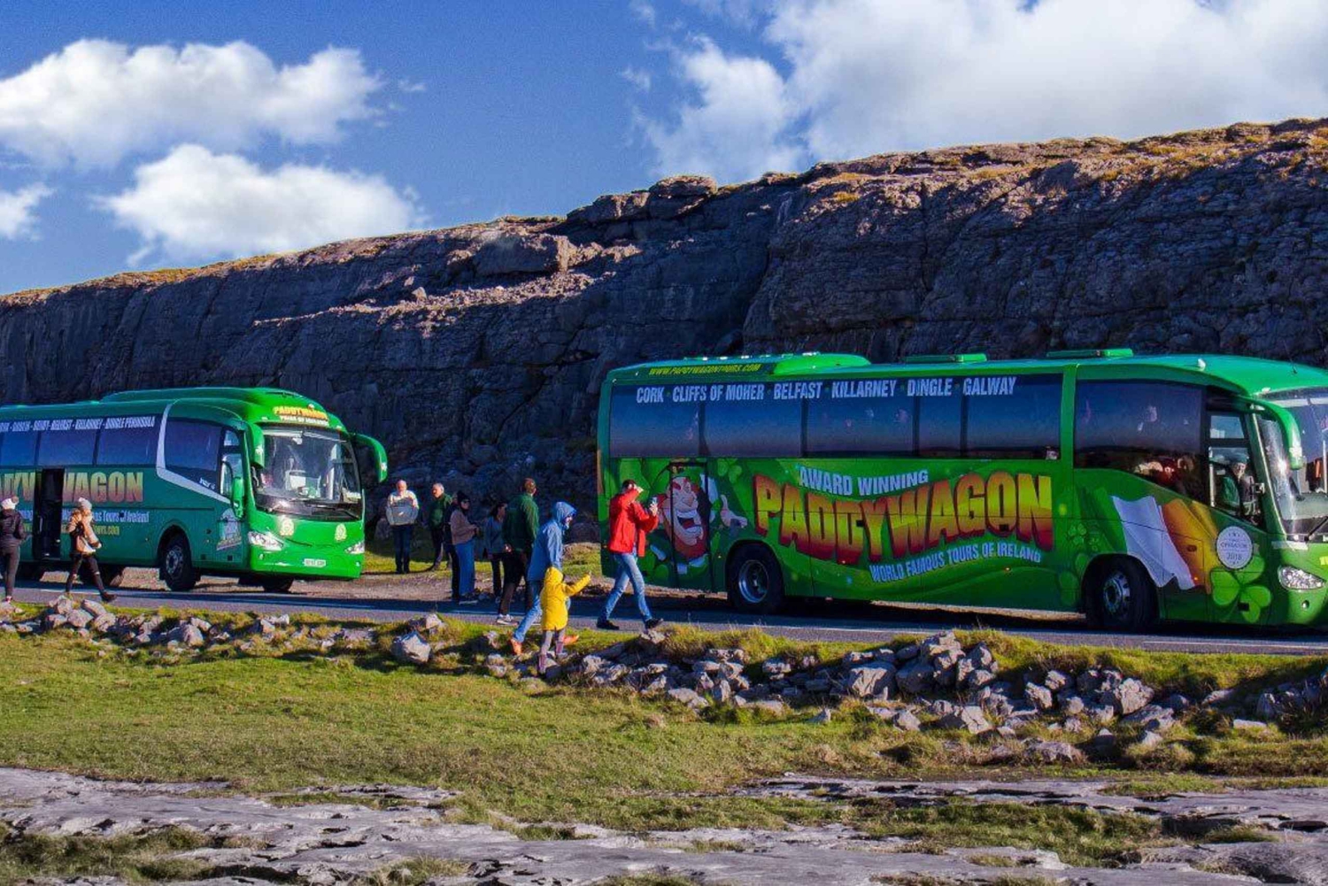 Ylellinen rantaretki Waterfordista (Dunmore East)