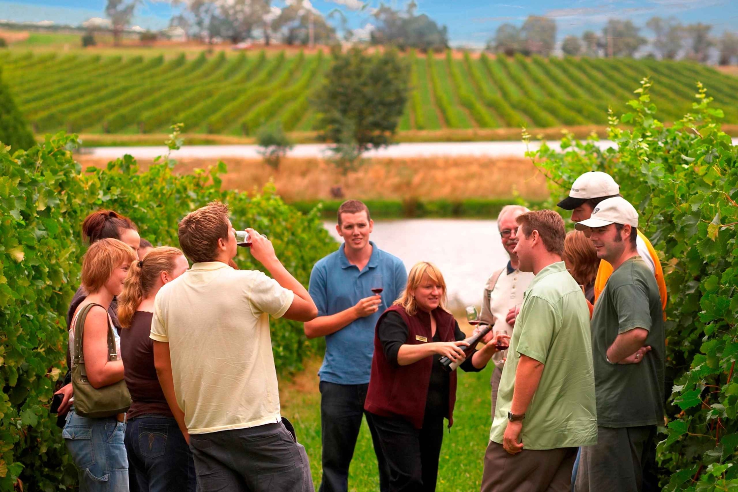 Melbourne: Full-Day Yarra Valley Wine Experience with Lunch