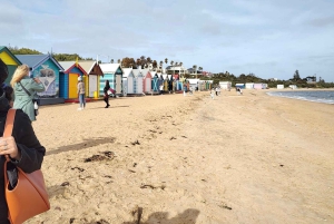 Экскурсия по Мельбурну для небольшой группы (на микроавтобусе и пешком) с пляжными домиками