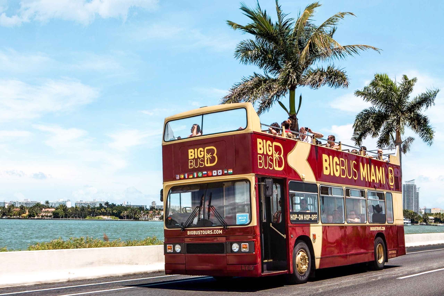 Miami: hop-on hop-off bustocht met open dak en optionele cruise