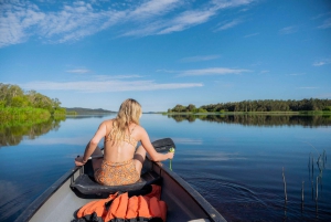 Noosa: Everglades Explorer Cruise mit optionaler Kanufahrt