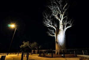 Perth: Instagram-bustocht met dessert