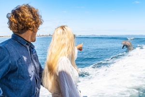 Perth: Swim with Wild Dolphins Tour