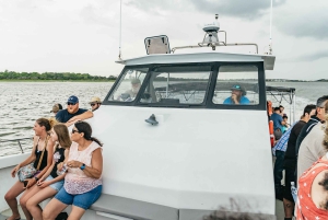 Savannah: Wycieczka z delfinami na wyspę Tybee