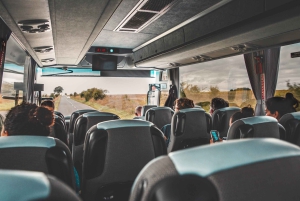 Stonehenge Special Access - Aftentur fra London