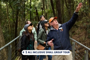 Blue Mountains, Scenic World, lunch, Featherdale en veerboot