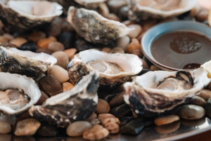 Sydney : croisière privée de luxe de 4 heures dans le port et baignade