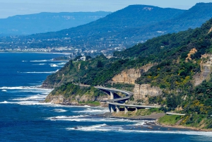 Sydney: Sea Cliff Bridge, Kiama Blowhole og Farmlands Tour