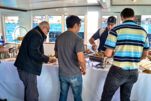 Sydney valskådningskryssning med frukost eller lunch