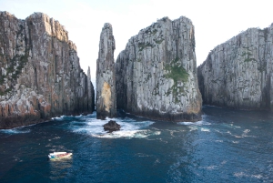 Tour della penisola di Tasman, crociera e sito storico di Port Arthur