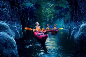 Тауранга: вечерний тур на байдарках-светлячках