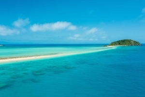 Tongarra: All-Inclusive Day Sail