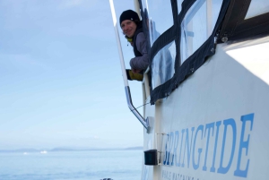 Victoria: 3-godzinna wycieczka z obserwacją wielorybów