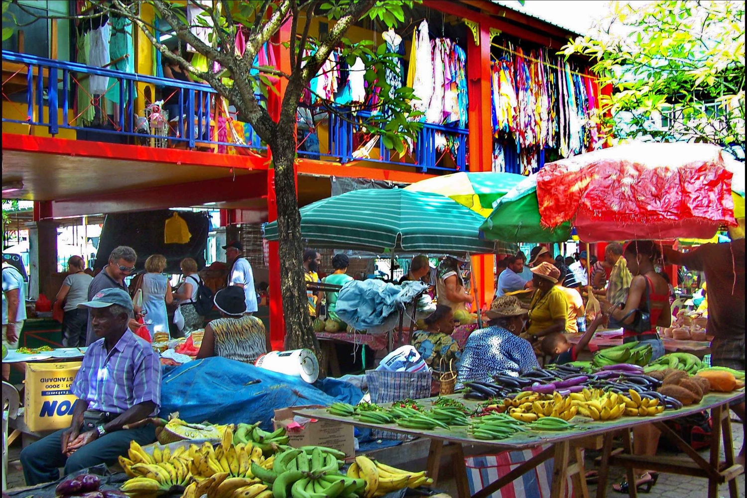 Виктория: экскурсия по городу с гидом и вход в ботанический сад