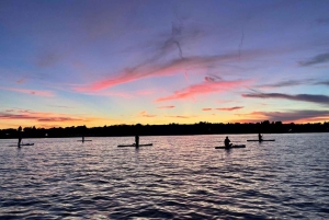 ビクトリア：秘密のビーチと島々の SUP ツアー