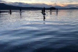 ビクトリア：秘密のビーチと島々の SUP ツアー