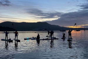 ビクトリア：秘密のビーチと島々の SUP ツアー