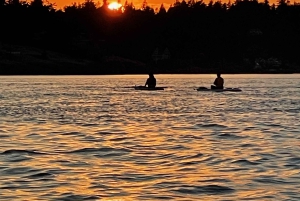 ビクトリア：秘密のビーチと島々の SUP ツアー