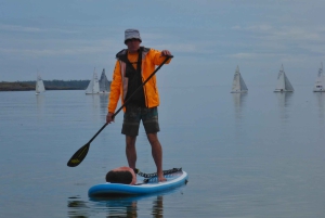 ビクトリア：秘密のビーチと島々の SUP ツアー