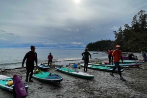 ビクトリア：秘密のビーチと島々の SUP ツアー