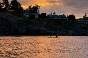 ビクトリア：秘密のビーチと島々の SUP ツアー