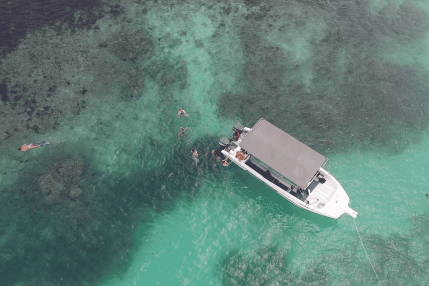 Виктория: морской парк Сент-Энн и остров Серф с обедом