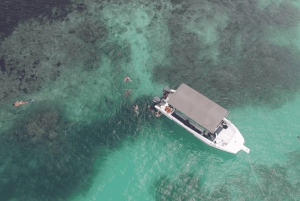 Виктория: морской парк Сент-Энн и остров Серф с обедом