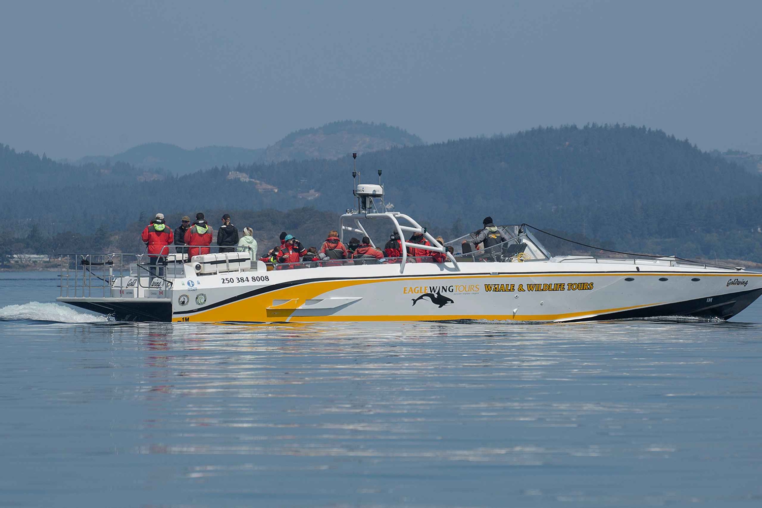 Victoria: tour di osservazione delle balene al tramonto su una barca scarabeo aperta