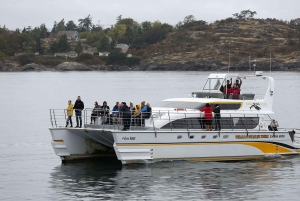 Victoria: Halvt overbygd båttur med hval og dyreliv