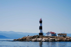 Victoria: tour de fauna invernal con bebidas calientes