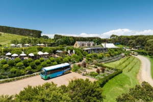 Waiheke Island: Ferry & Hop-On Hop-Off Explorer Bus Tickets