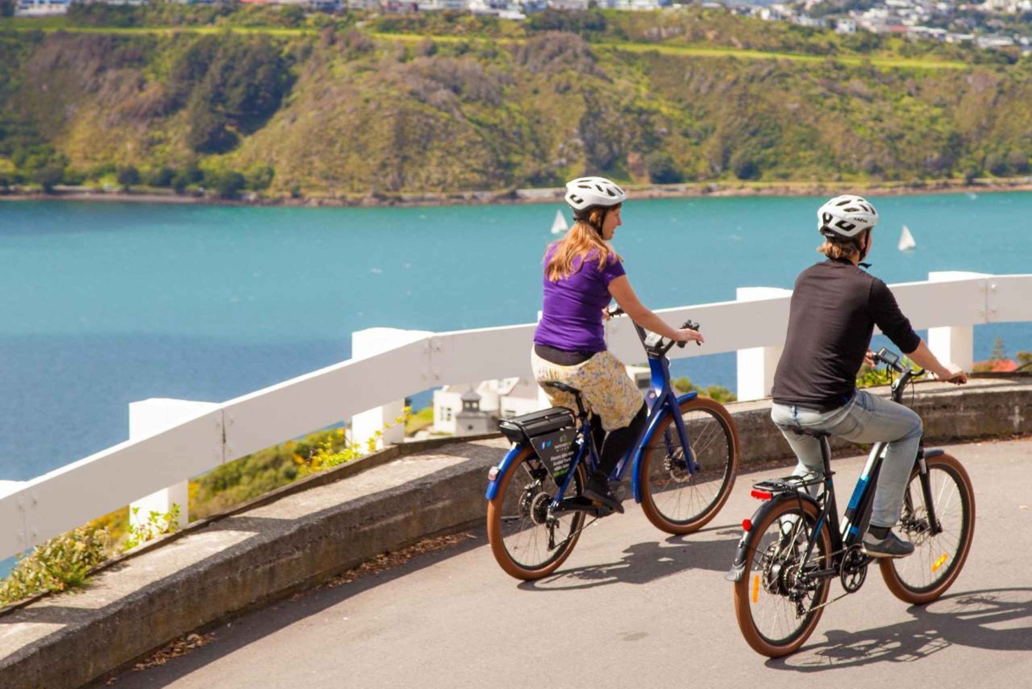 Wellington: Leie av elsykkel