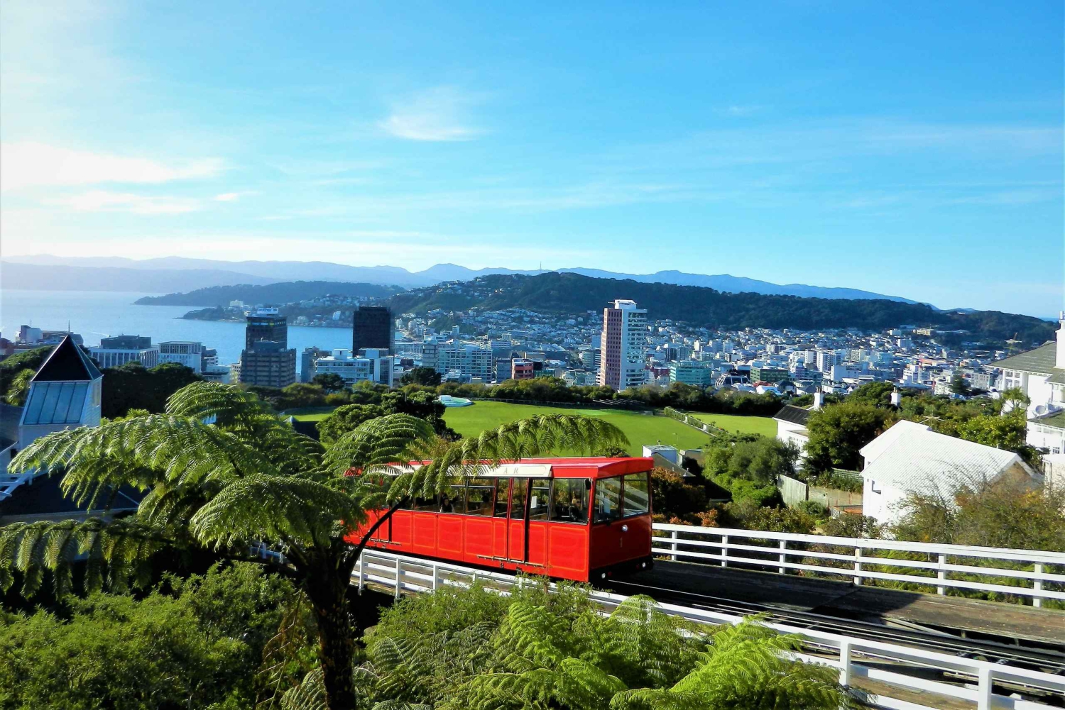 Wellington: Returbillett til kabelbanen
