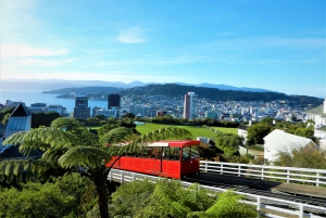 Веллингтон: билет на канатную дорогу туда и обратно