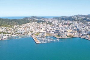 Wellington: Malowniczy lot helikopterem Discovery na południowym wybrzeżu