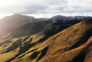 Wellington: Malowniczy lot helikopterem Discovery na południowym wybrzeżu