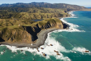 Wellington: Malowniczy lot helikopterem Discovery na południowym wybrzeżu