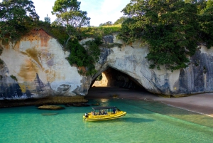 Whitianga: 2-Hour Cathedral Cove and Volcanic Coast Cruise