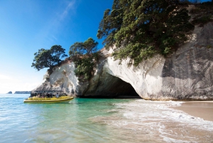 Whitianga: 2-Hour Cathedral Cove and Volcanic Coast Cruise