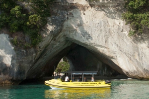Whitianga: 2-Hour Cathedral Cove and Volcanic Coast Cruise