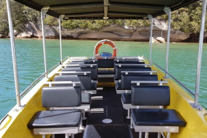 Whitianga: 2-Hour Cathedral Cove and Volcanic Coast Cruise