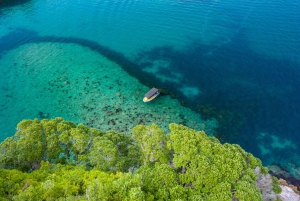 Whitianga: 2-Hour Cathedral Cove and Volcanic Coast Cruise