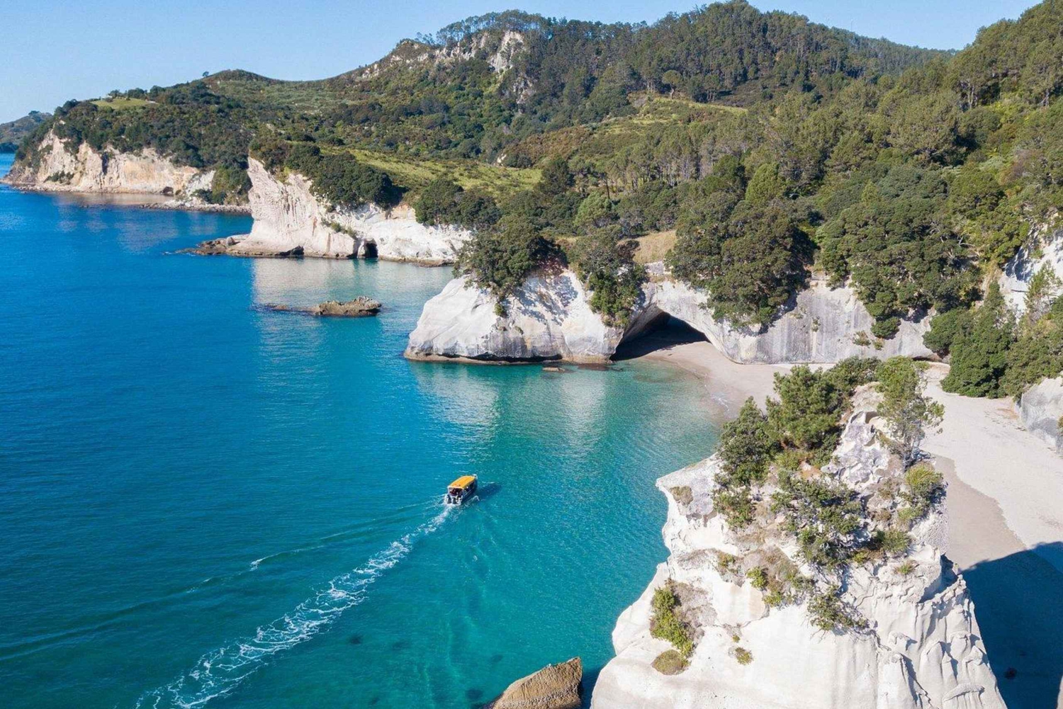 Whitianga: tour in barca con fondo trasparente (2 ore)