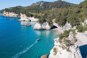 Whitianga: tour in barca con fondo trasparente (2 ore)