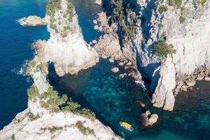 Whitianga: tour in barca con fondo trasparente (2 ore)